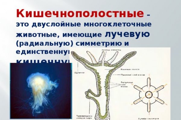 Сайт кракен зайти